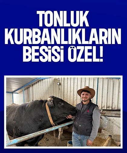 Tonluk kurbanlıkların besisi özel!