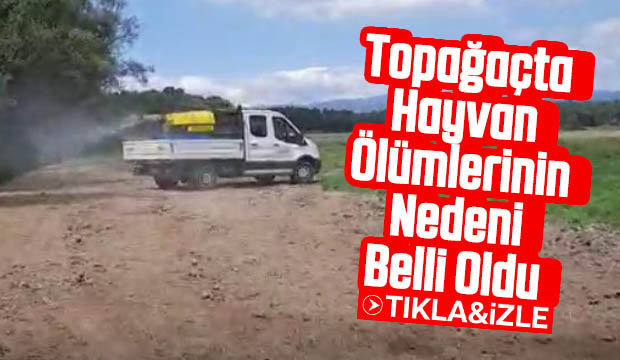 Topağaçta ölümlerin nedeni belli oldu