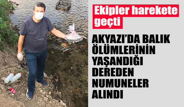 Toplu balık ölümü sonrası dereden numuneler alındı