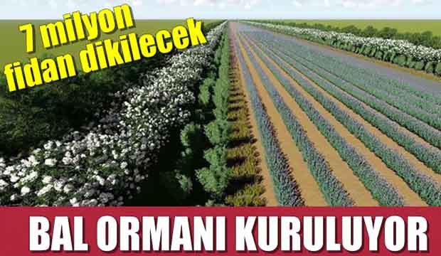 Toprağın altından su, üstünden bal akacak