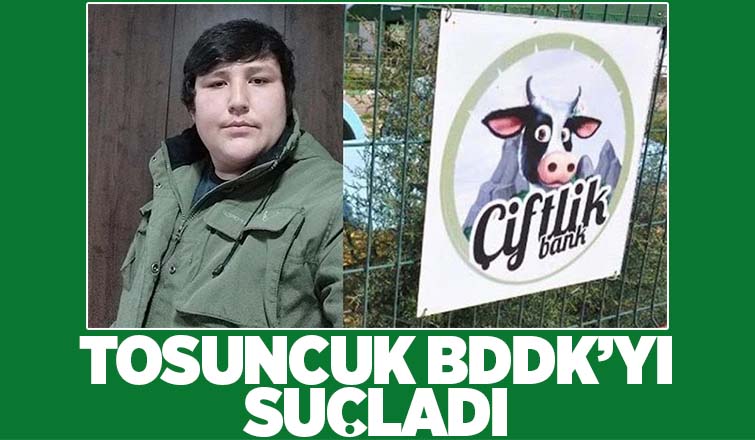 Tosuncuk: Kusurlu olan BDDK’nın kendisidir