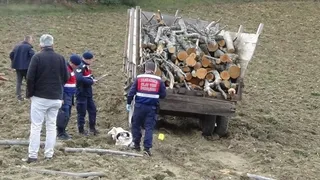 Traktör kazası: 1 ölü, 1 yaralı