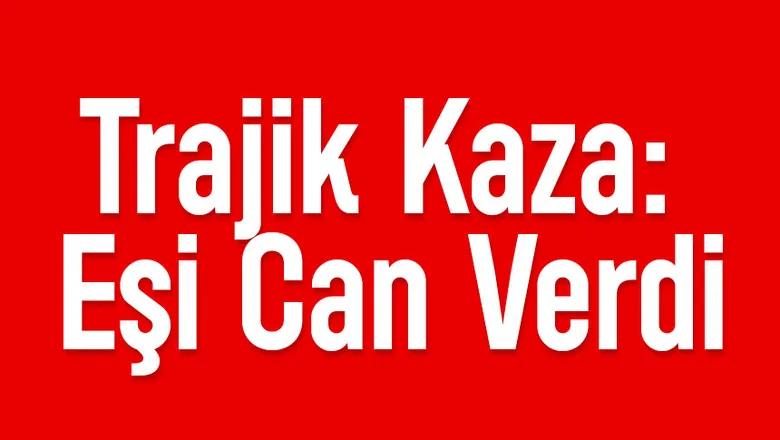 Traktör kazası; Eşi hayatını kaybetti