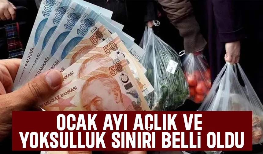 Türk İş açlık ve yoksulluk sınırında son durumu açıkladı