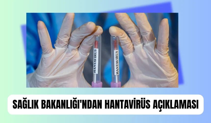 Türkiye'de hantavirüs vakasına rastlandı mı? Bakanlıktan açıklama geldi