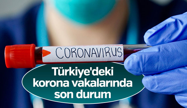 Türkiyedeki korona vakalarında son durum