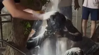 Ustalığa yükselen gencin başından aşağı motor yağı döktüler