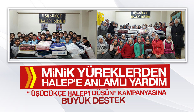 ÜŞÜDÜKÇE HALEP İ DÜŞÜN