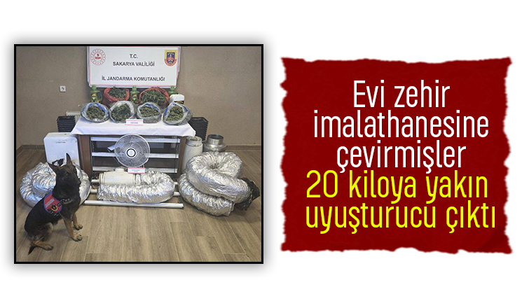 Uyuşturucu baskınından sera ev çıktı