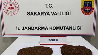 Uyuşturucu haplardan tarihi eserlere: Sakarya’da geniş çaplı baskınların sonucu açıklandı