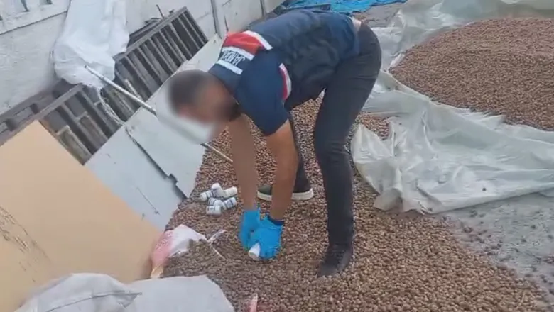 Uyuşturucuyu fındıkların arasına gizlediler