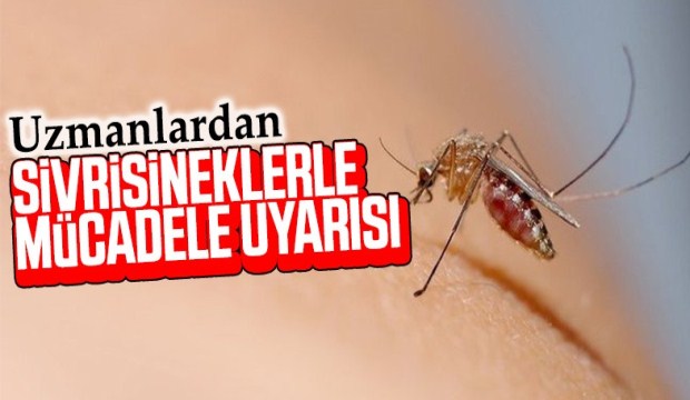 Uzmanlardan sivrisinekle mücadele uyarısı