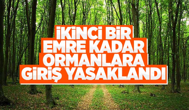 Valilik ormanlarda piknik ve mangalı yasakladı