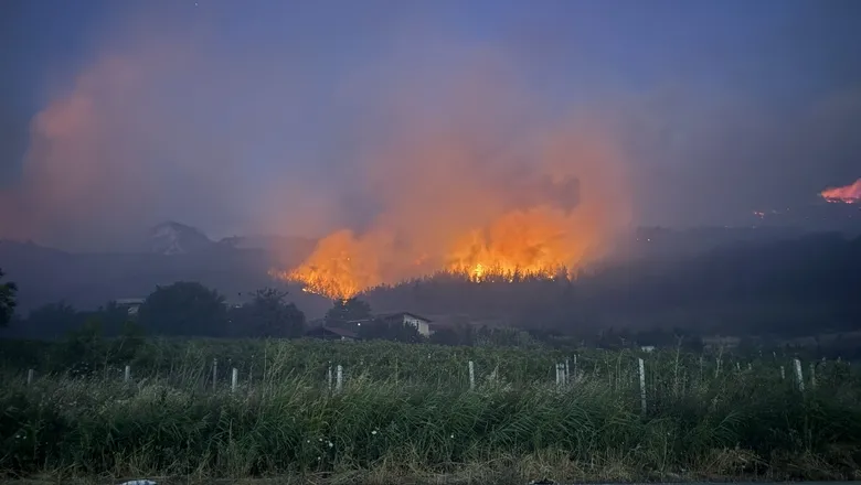 Valilikten Geyve'deki yangınla ilgili açıklama
