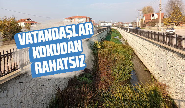 Vatandaş kötü kötü kokudan rahatsız