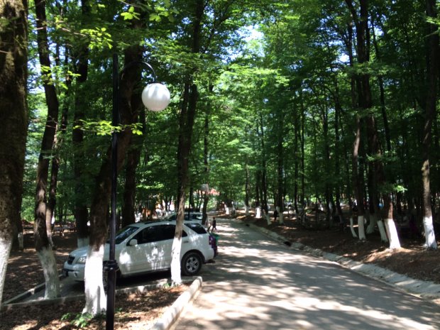 Vatandaş Tabiat Parkta Hizmetin Sefasını Sürüyor