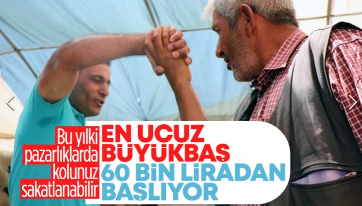 Vatandaşlar merakla bekliyordu! 2023 yılı kurban fiyatları