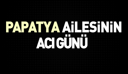 Vefat Aysel Papatya