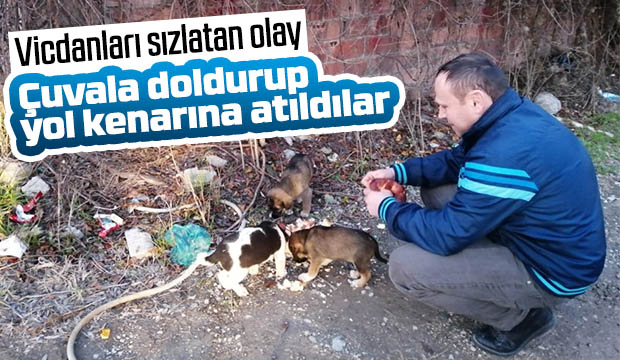 Vicdanları sızlatan olay
