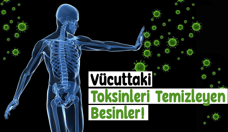 Vücuttaki Toksinleri Temizleyen Besinler! 