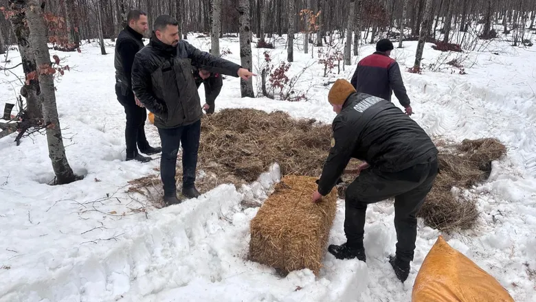 Yaban hayvanları için saman ve yem bıraktılar