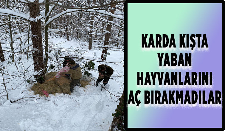 Yaban hayvanlarına 12 bin 900 kilo yiyecek bırakıldı