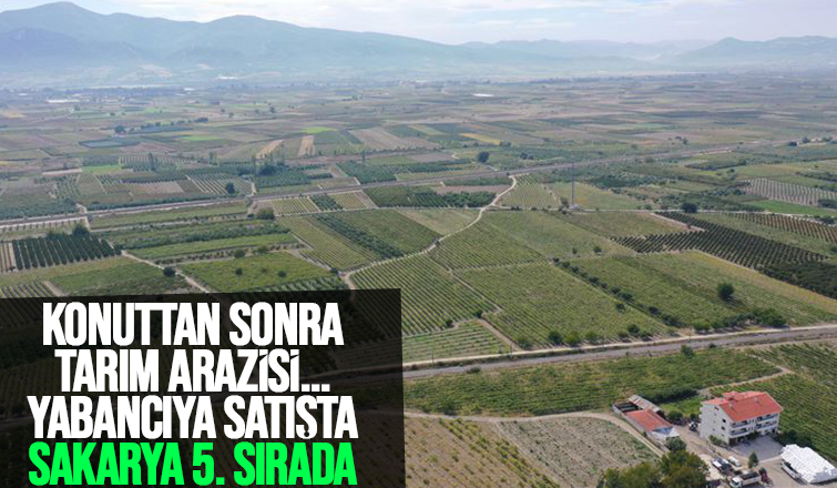 Yabancılara tarım arazisi satışında Sakarya ilk 5'te