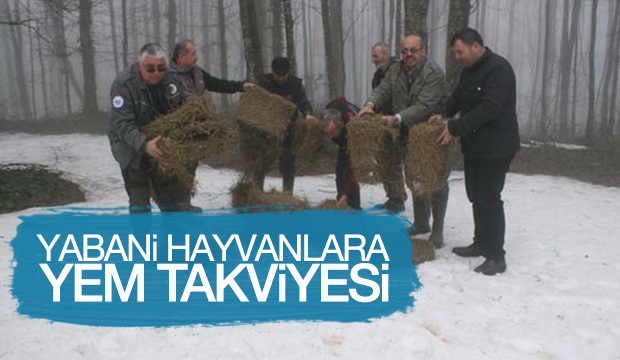 Yabani Hayvanlara Yem Takviyesi
