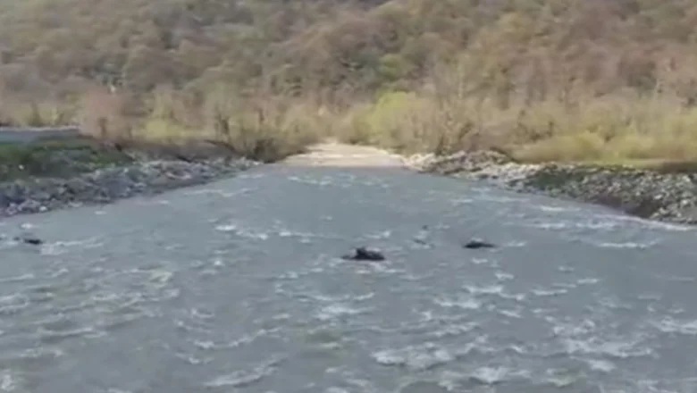Yağış ve Kar Suları Mudurnu Çayı’nı Coşturdu!