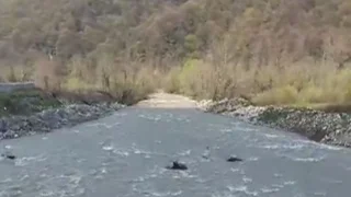 Yağış ve Kar Suları Mudurnu Çayı’nı Coşturdu!