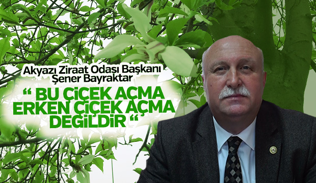 Yalancı Bahara Aldanan Ağaçlar Çiçek Açtı