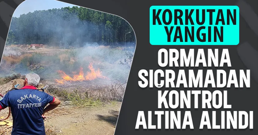 Yangın ormana sıçramadan söndürüldü