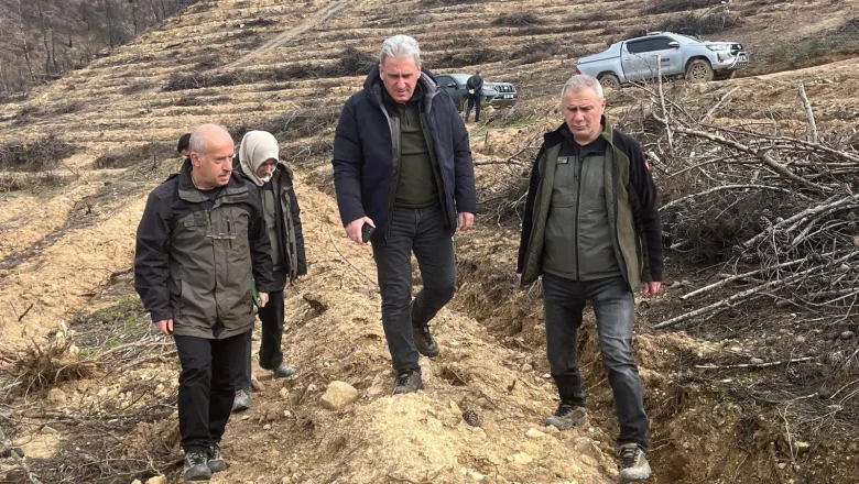 Yangın sahalarında ağaçlandırma çalışmaları