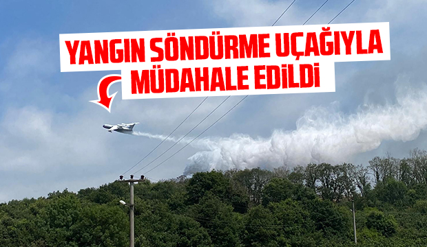 Yangın söndürme uçağı müdahale etti