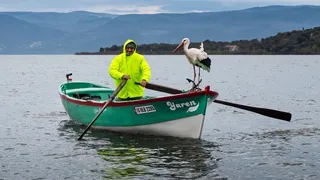 Yaren leylek bu yıl erken geldi