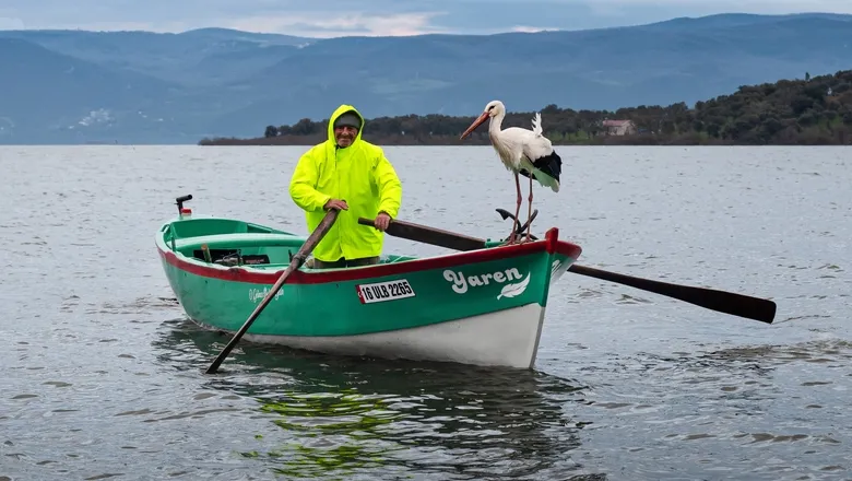Yaren leylek bu yıl erken geldi