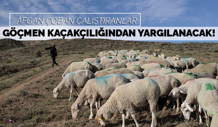 Yargıtaydan Afgan çoban kararı
