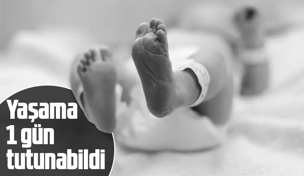 Yaşama bir gün tutunabildi