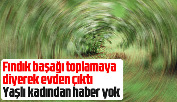 Yaşlı kadından haber yok
