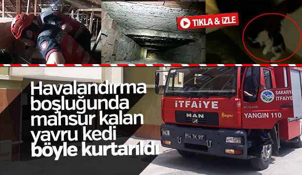Yavru Kedi İtfaiye Ekiplerince Kurtarıldı