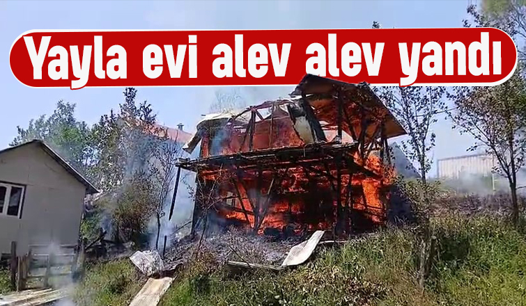 Yayla evi kül oldu