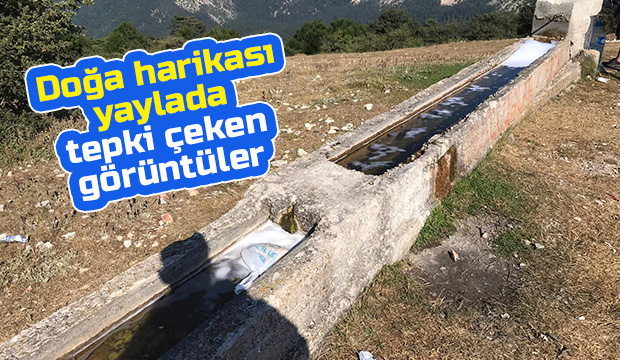 Yaylada tepki çeken görüntüler
