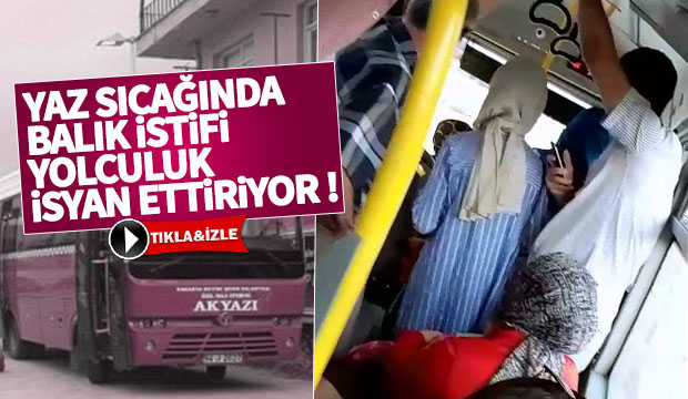 Yaz sıcağında Balık istifi yolculuk isyan ettiriyor
