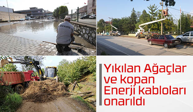 Yıkılan Ağaçlar  ve kopan Enerji kabloları  onarıldı