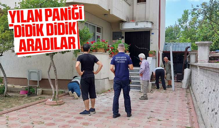 Yılan paniği, didik didik aradılar