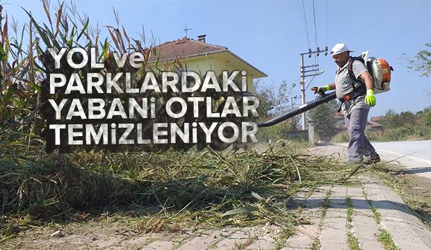 YOL ve PARKLARDAKİ YABANİ OTLAR TEMİZLENİYOR