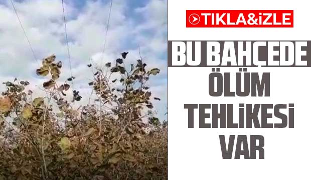 Yüksek gerilim tehlike saçıyor