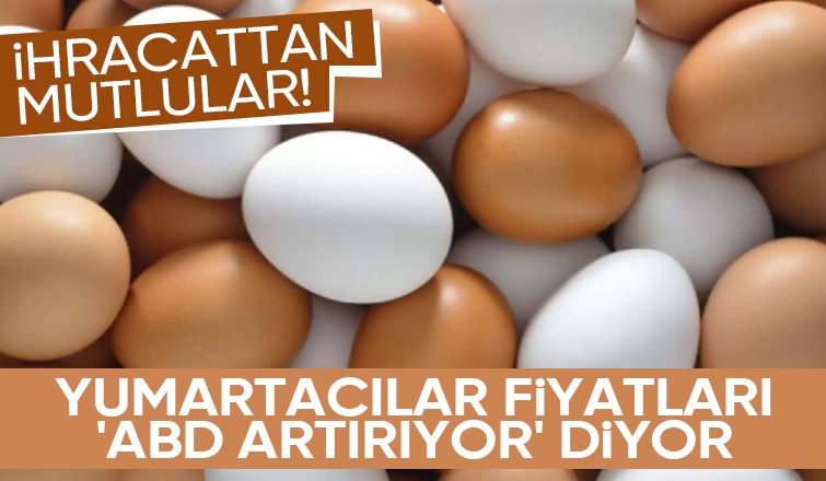 Yumurta fiyatlarını ABD artırıyor açıklaması
