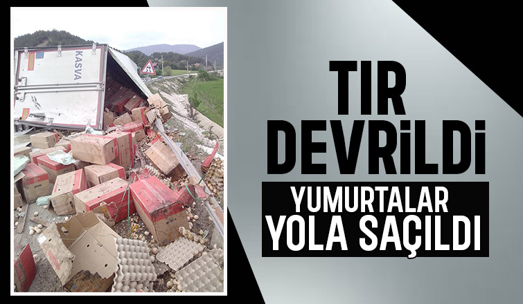 Yumurta yüklü tır devrildi