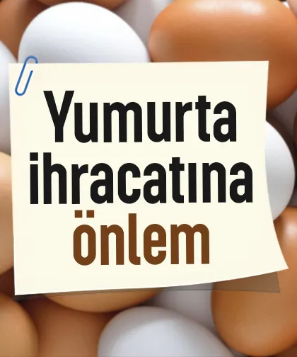 Yumurtada fiyat artışını önleyecek düzenleme